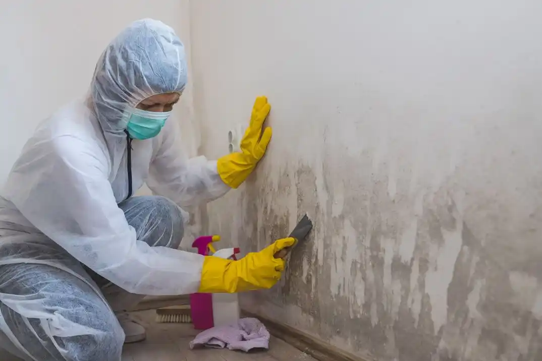water damage restoration service Southview